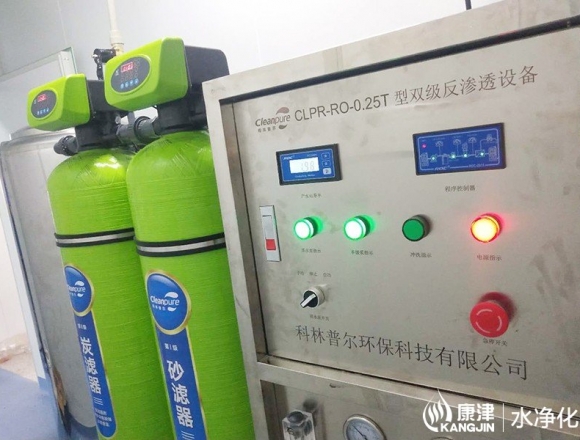 口罩廠(chǎng)0.25噸雙級(jí)反滲透純化水設(shè)備